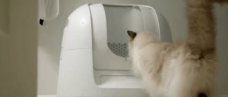 автоматический кошачий туалет