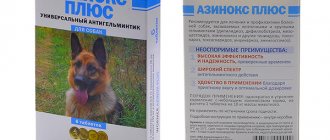 Azinox plus - anti-worm drug for dogs