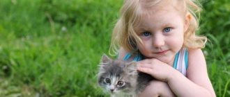 Девочка обнимает котенка