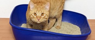 For many cat owners, the animal’s refusal to use the litter box becomes a significant incentive to achieve their goal.