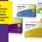Instructions for using the drug Trocoxil to relieve inflammation in dogs