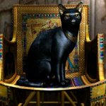 Исторические факты о черных кошках
