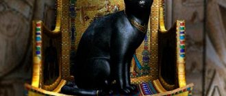 Исторические факты о черных кошках