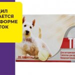 Как используют глистогонный препарат Тронцил для собак