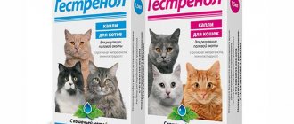 Gestrenol drops for cats and kittens