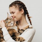 Любят ли кошки своих хозяев - признаки любви