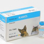 Нобивак рабиес: инструкция по применению вакцины от бешенства для кошек и собак