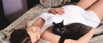 Почему беременным нельзя гладить кошек читайте статью