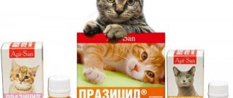 Prazicide for cats and cats