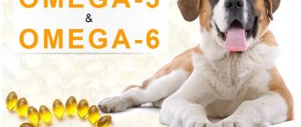 Fish oil for dogs, benefits and method of use