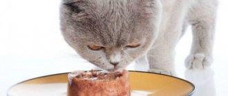 Шеба корм для кошек отзывы ветеринаров