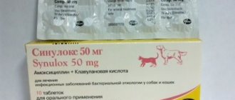 Синулокс в таблетках по 50 мг